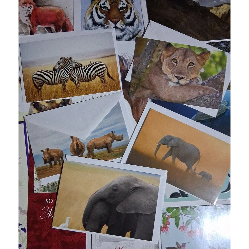 Vintage greeting cards/envelopes National geographic, world wild life, 26 pieces
